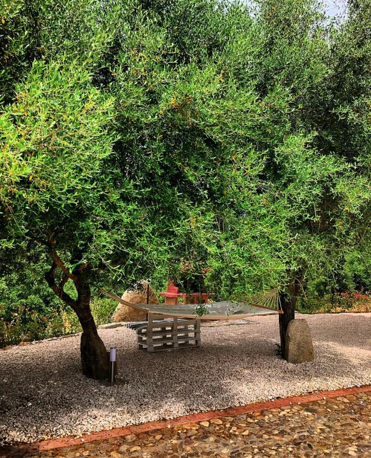 Casa Vacanza Centro Sardegna Sorgono 外观 照片