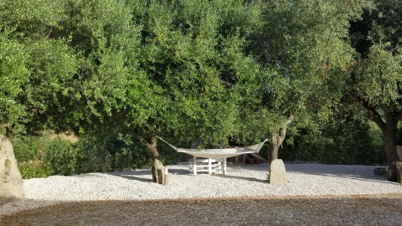Casa Vacanza Centro Sardegna Sorgono 外观 照片