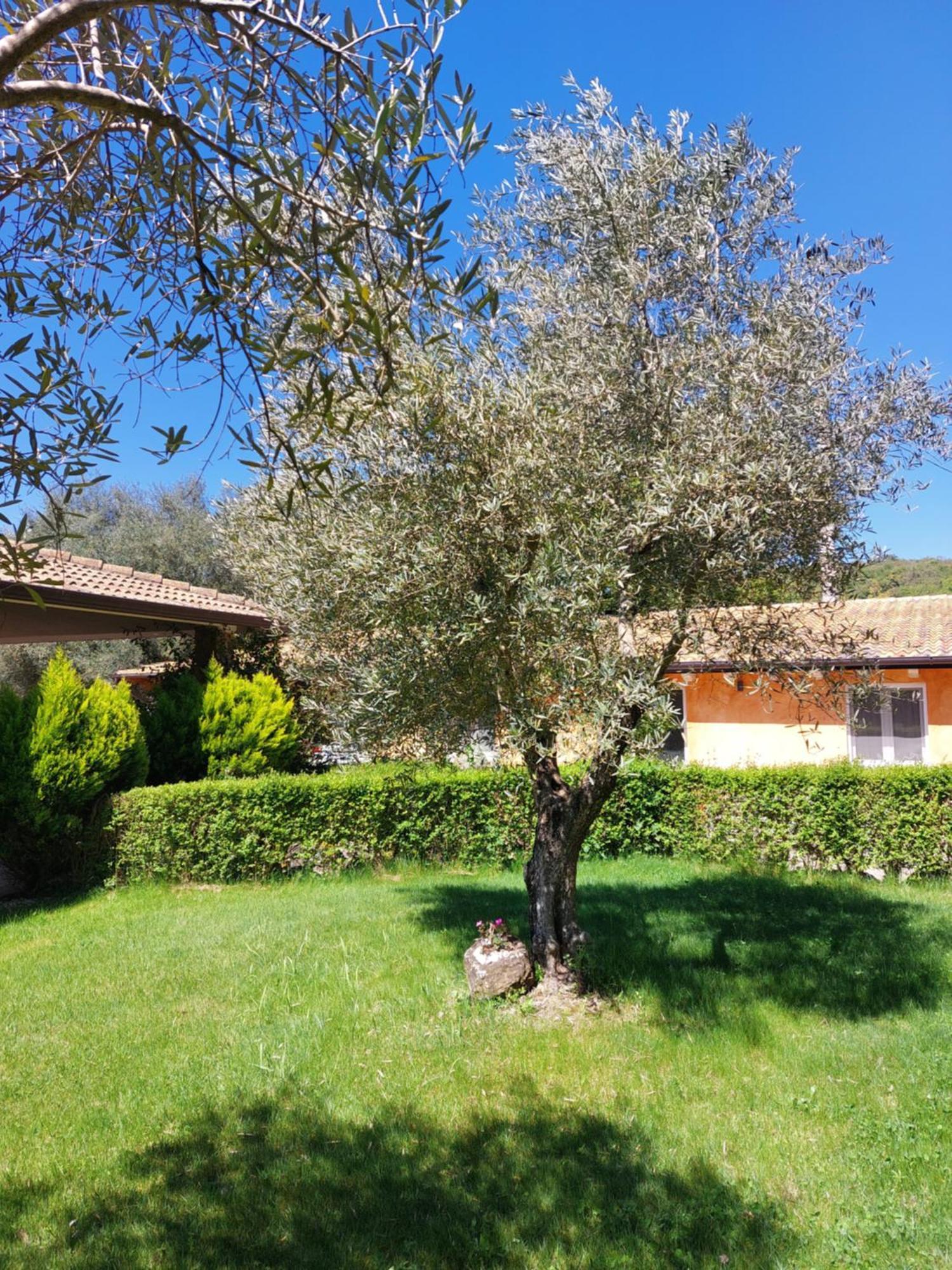 Casa Vacanza Centro Sardegna Sorgono 外观 照片