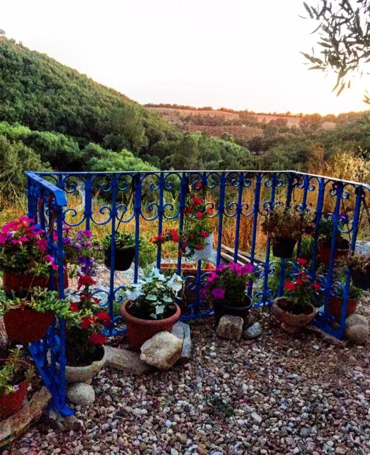 Casa Vacanza Centro Sardegna Sorgono 外观 照片