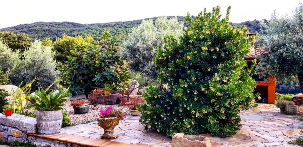 Casa Vacanza Centro Sardegna Sorgono 外观 照片