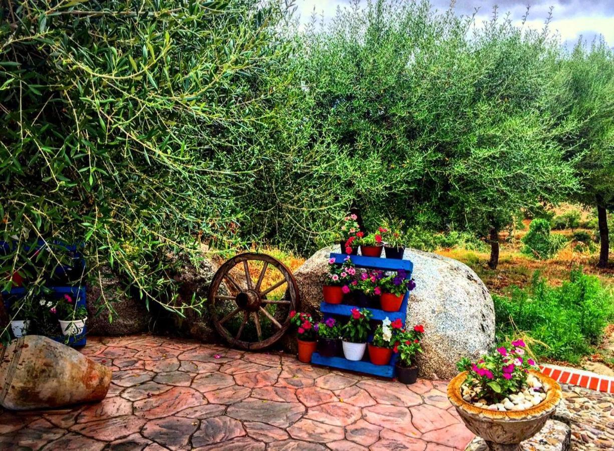 Casa Vacanza Centro Sardegna Sorgono 外观 照片